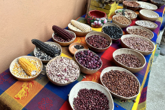 Mexican corns and grains