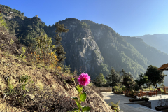 View from Taktsang Cafe