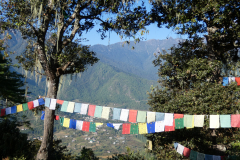 Prayer flags on the hike trail to Taktsang